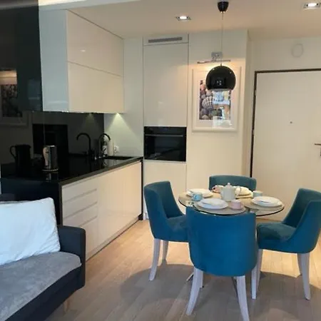 公寓 Premium V Z Garazem